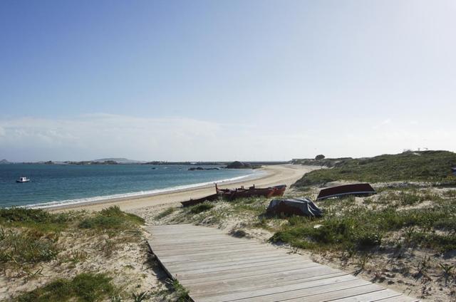 Carola L, "Apartamento De Lujo A 100M Playa Catia" Ribeira Exterior foto